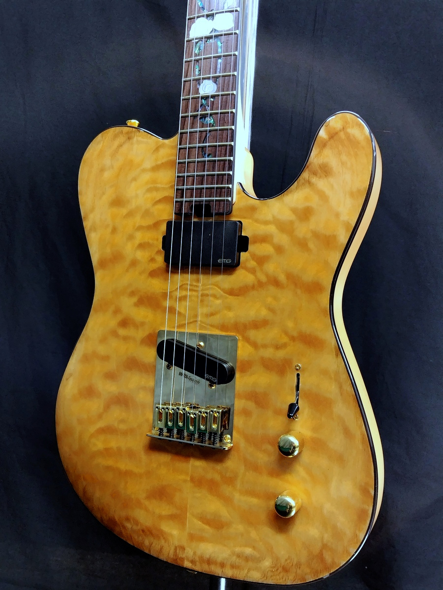 Aria Pro II TEG-780 N (Natural)（B級特価）【楽器検索デジマート】