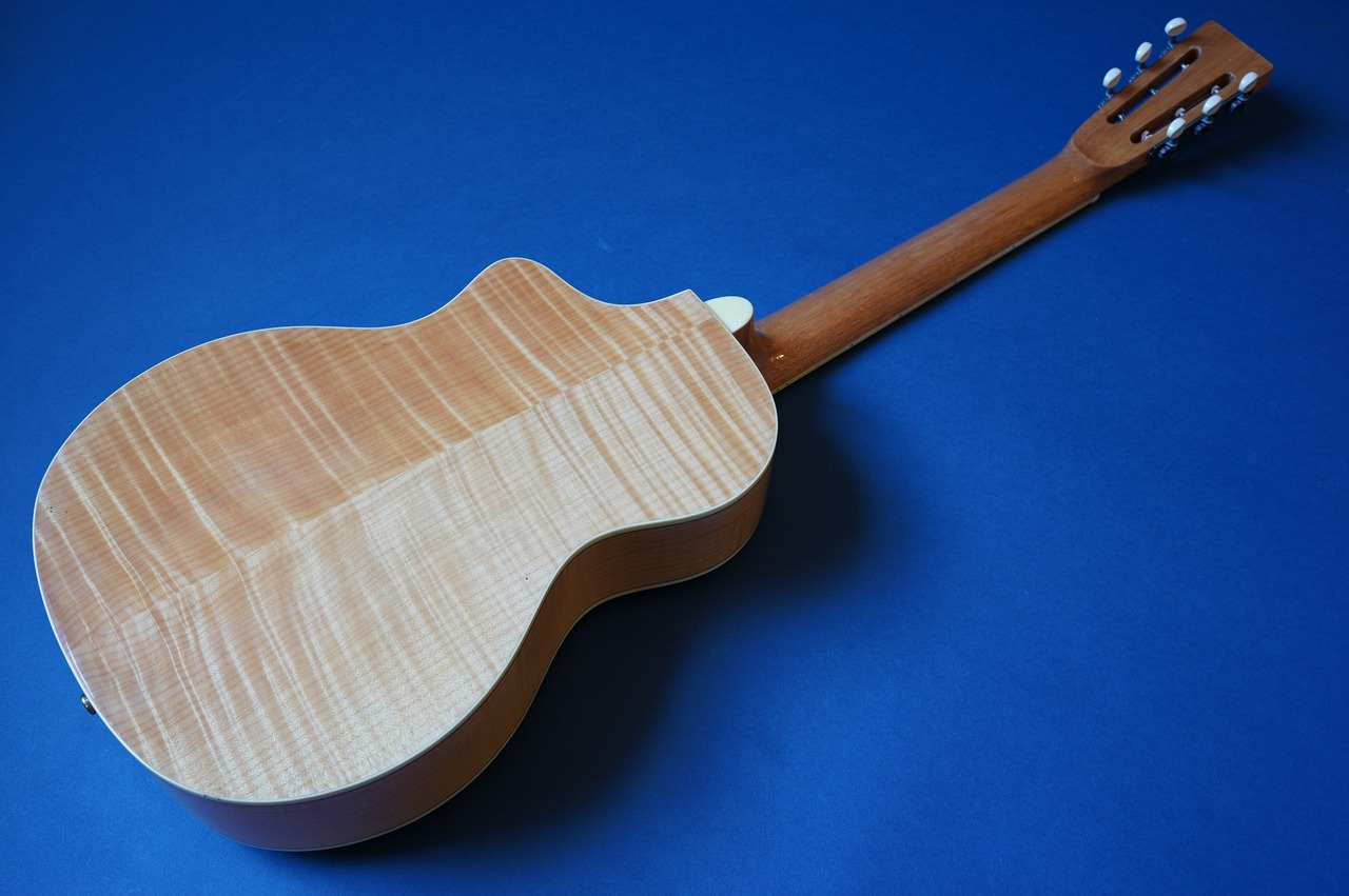 Delta Express TG-Cutaway （新品）【楽器検索デジマート】