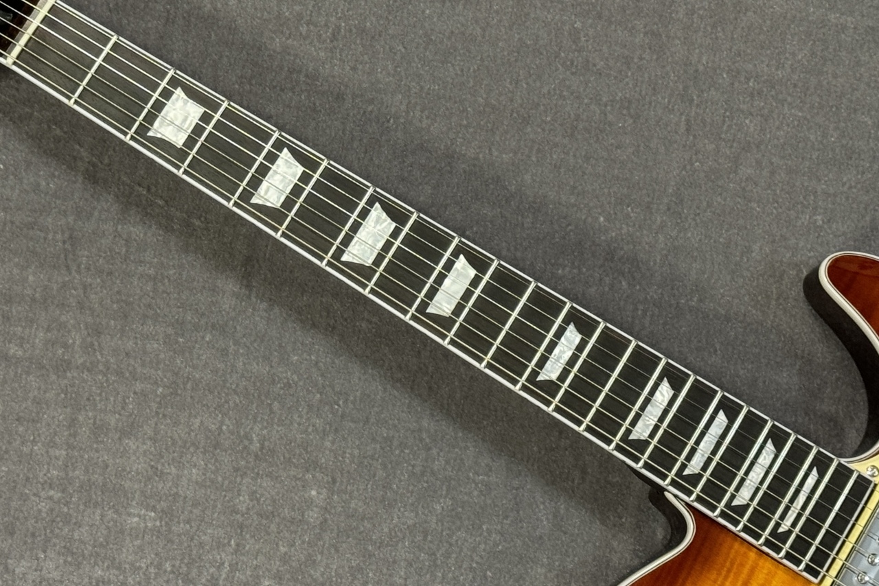 Bacchus BARON-FM HB【GIB兵庫】（新品/送料無料）【楽器検索デジマート】