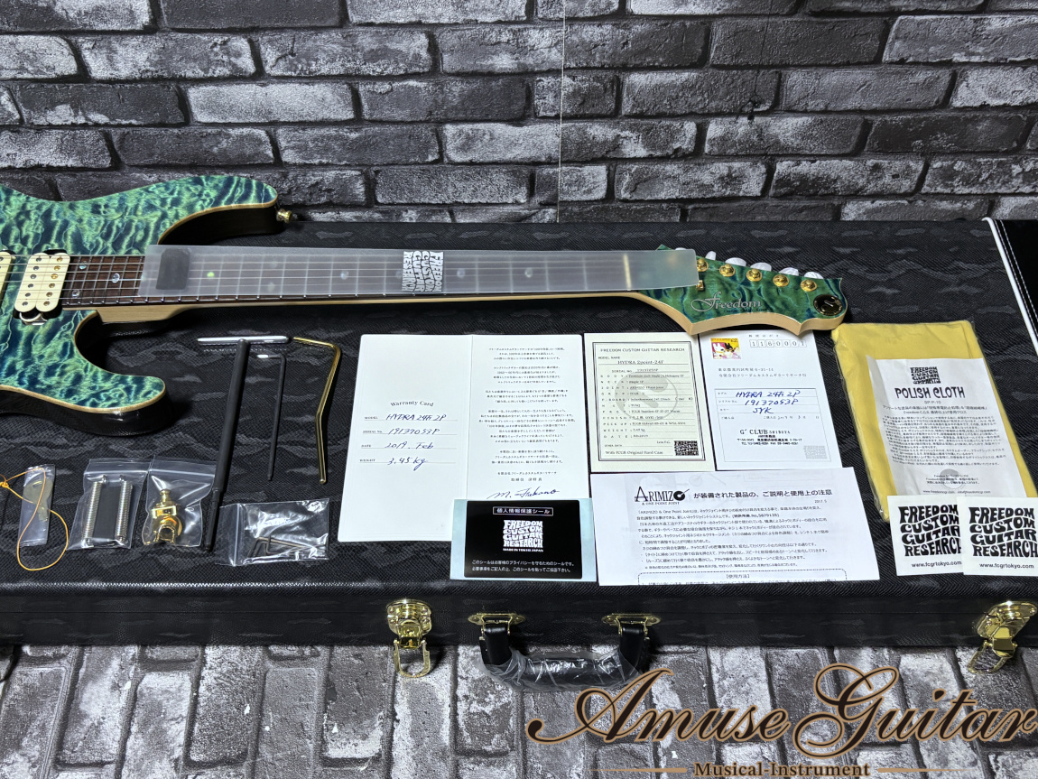 FREEDOM CUSTOM GUITAR RESEARCH Hydra 2Point 24F Premium