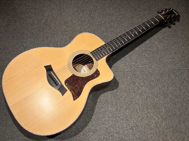 Taylor 214ce-G エレアコ （管理ワテ） Taylor 214ce-G エレアコ