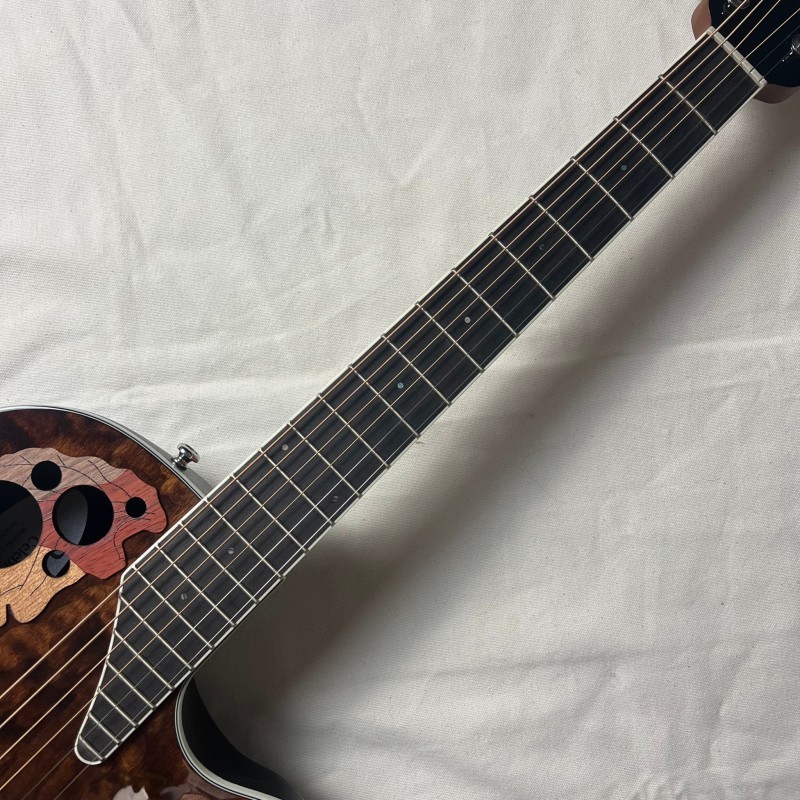 Ovation Celebrity CE48P-TGE-G エレアコギター