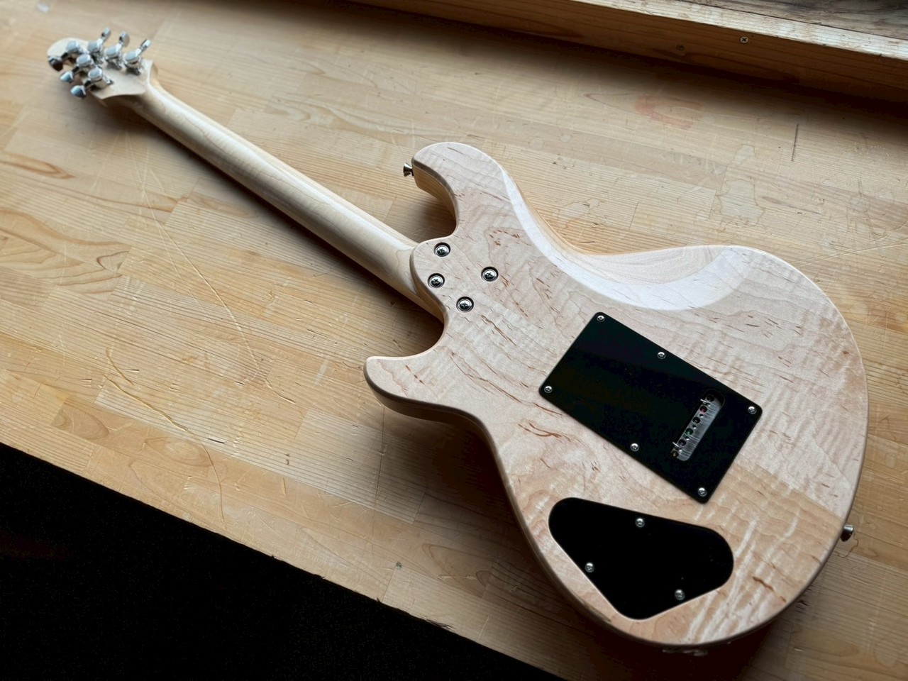 Nishgaki Guitars Amnis Novus Shibasaki Hiroshi Specs（新品