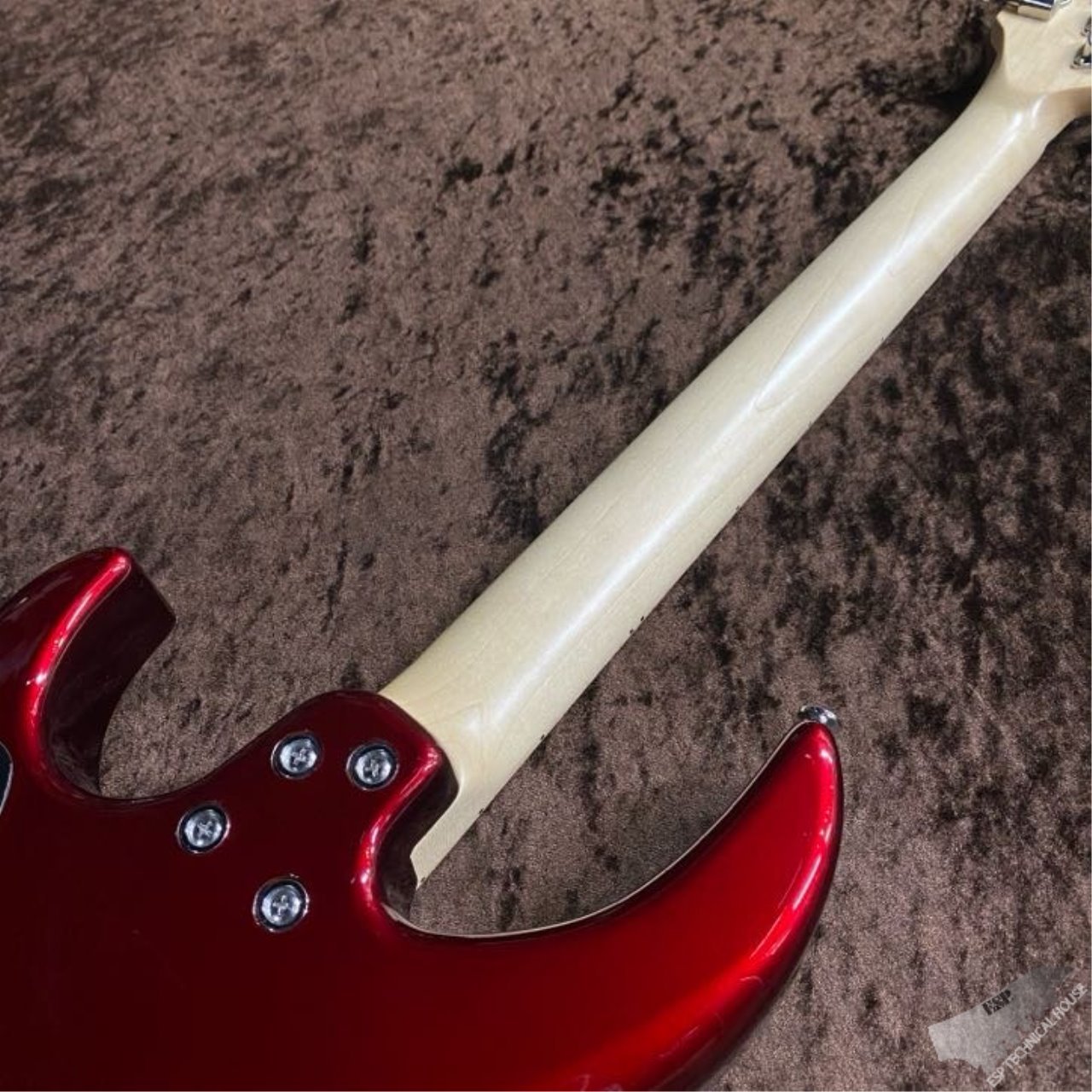 Killer KG-Fascist Vice SE -Delicious red-（新品/送料無料）【楽器