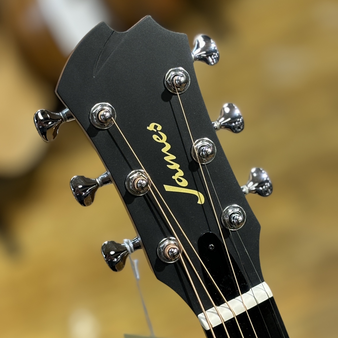 James J-800A 　オール単板仕ギグケース付き James J-800A オール単板仕様。送料込み 専用ギグケース付き！
