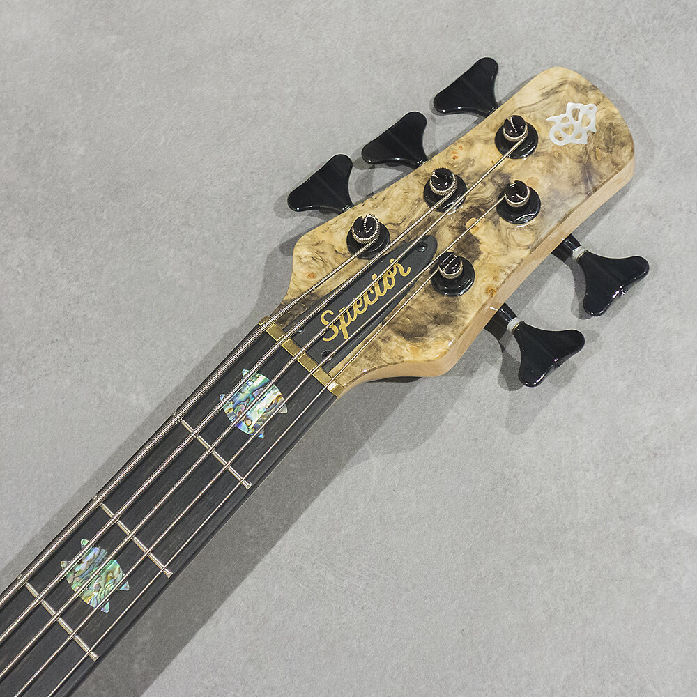 Spector NS-5 BEB/BW M/EB EMG P/40DC Natural High Gloss（新品