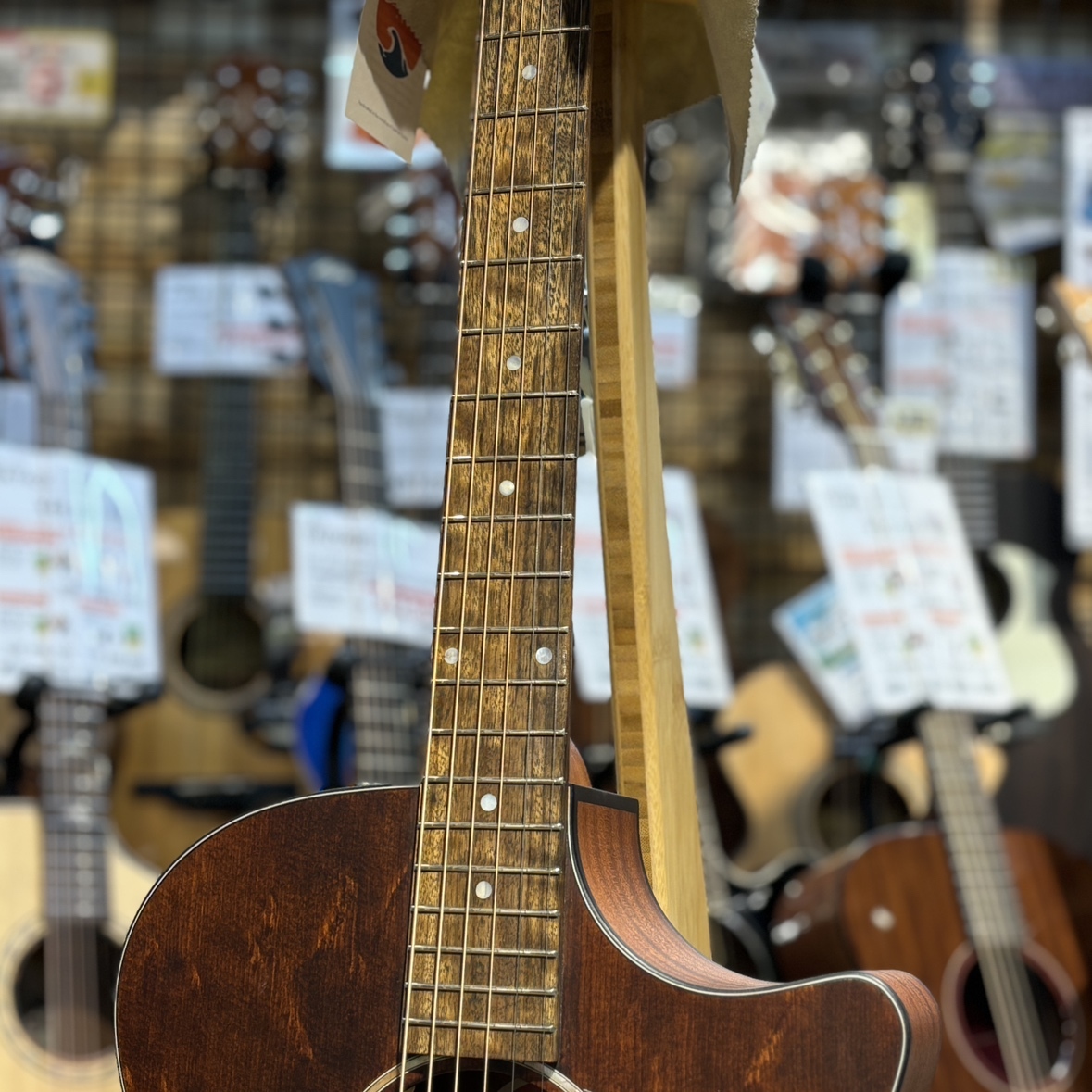 Eastman エレアコ　Eastman PCH1-GACE 中古 Eastman PCH1-GACE / 楽器屋BOW オンラインストア