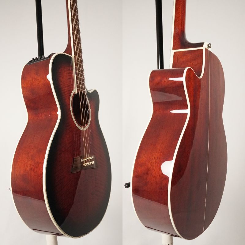 Takamine DSP-110 MOD【USED】（中古）【楽器検索デジマート】