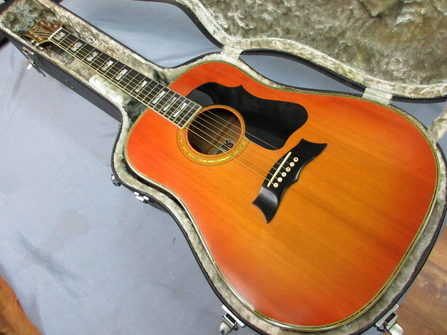 Morris MG-100ST 谷村新司モデル （ビンテージ）【楽器検索デジマート】