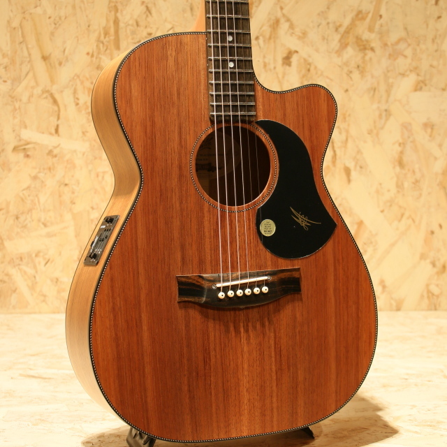 MATON EBW808C（新品）【楽器検索デジマート】
