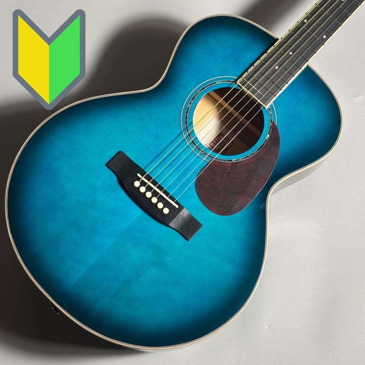 音音 【入門用アコギ】 SFG-20 EBU アースブルー アコースティック