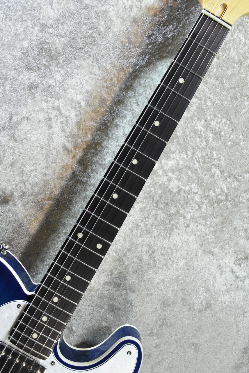 FUJIGEN(FGN) NTE210RAH See-Thru Blue Burst #H250278【3.60kg/濃いめ