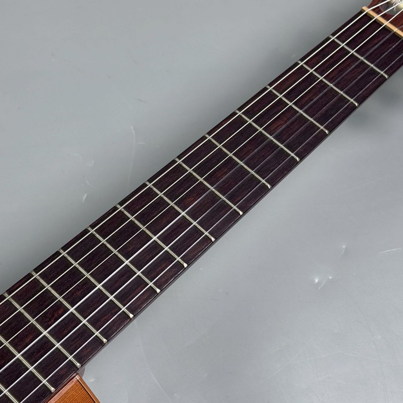 Raimundo 118C（中古/送料無料）【楽器検索デジマート】