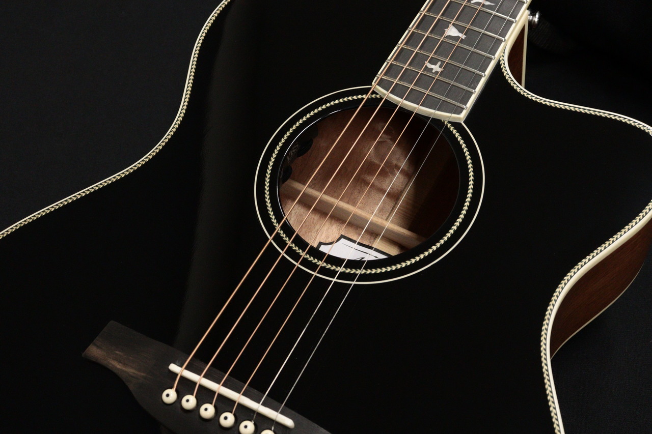 Paul Reed Smith(PRS) SE A20E Blacktop 2022（新品/送料無料）【楽器