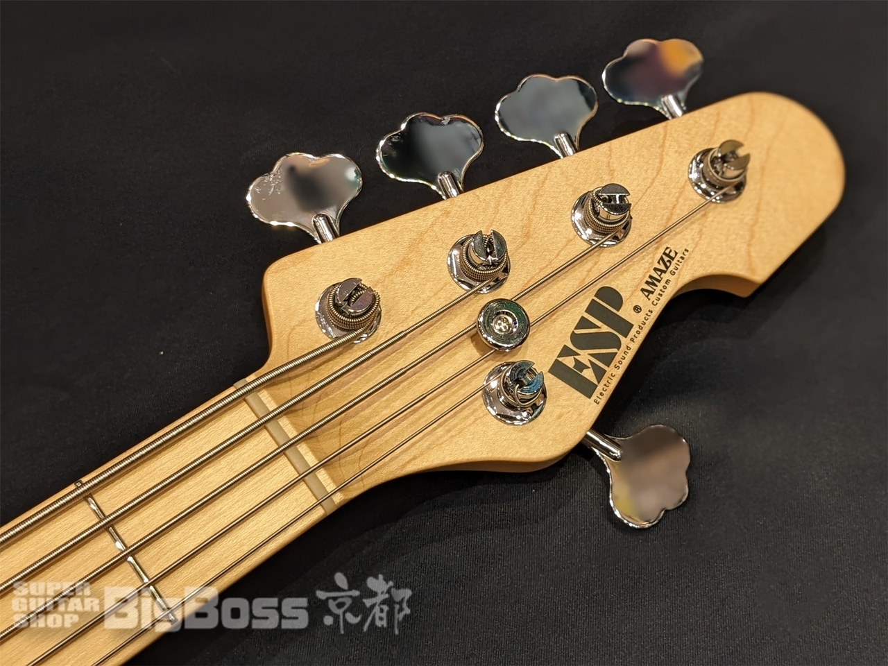 ESP AMAZE CTM 5弦　カスタムオーダー仕様 ESP AMAZE-CTM-SL5 FM/M Faded Blue｜ミュージックランドKEY