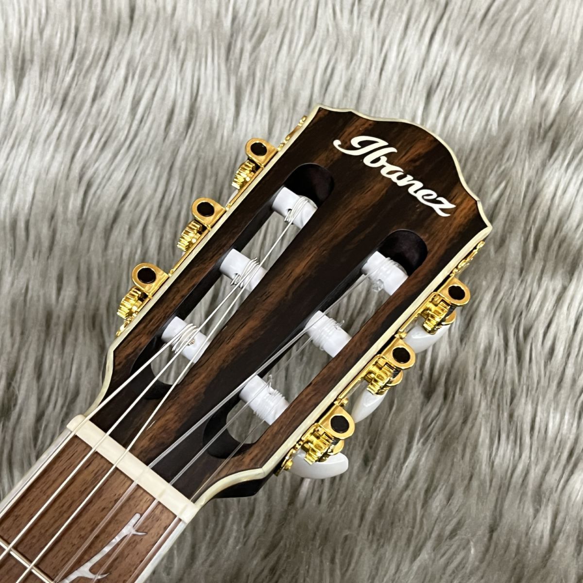 Ibanez TOD10N TKF エレガットギター Tim Henson Signature ティム