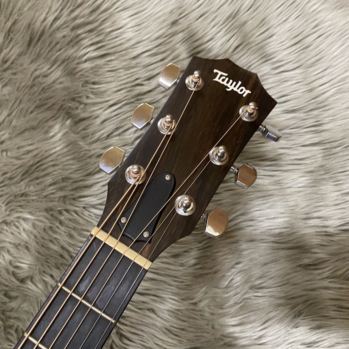 Taylor 214ce-Koa 2017 ギター TAYLOR 214ce-Koa 2017|ドルフィンギターズ