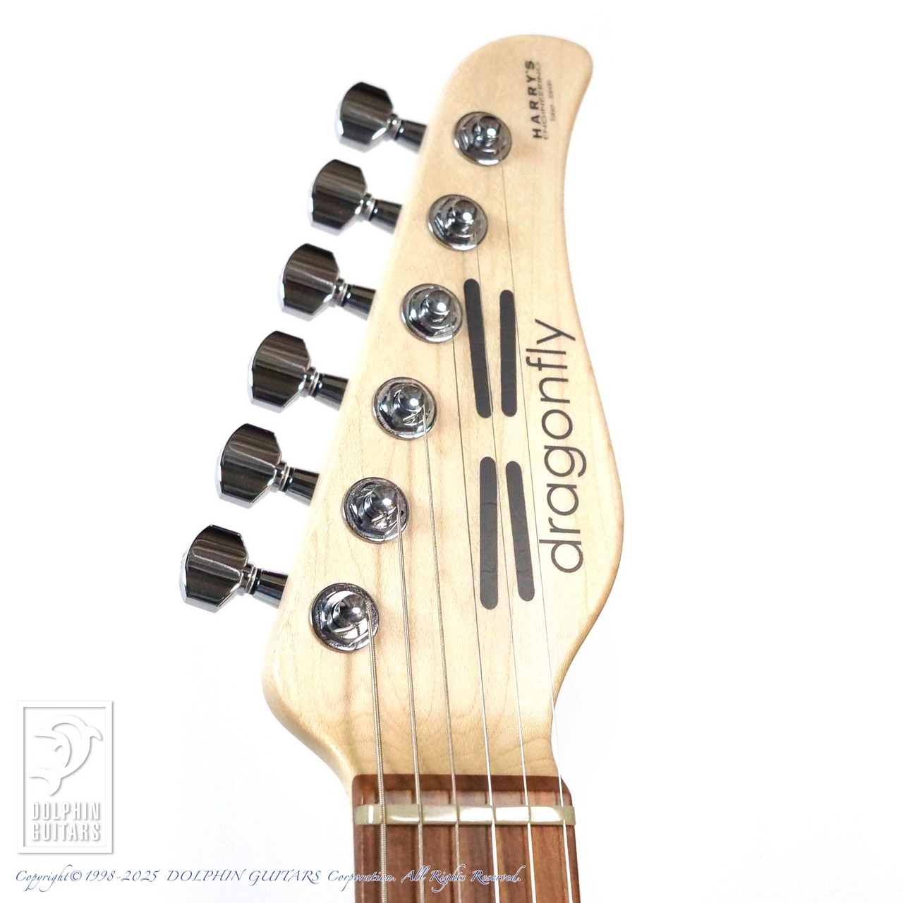 dragonfly HI STA SSH Trans White Top (648) 【48回無金利対象品