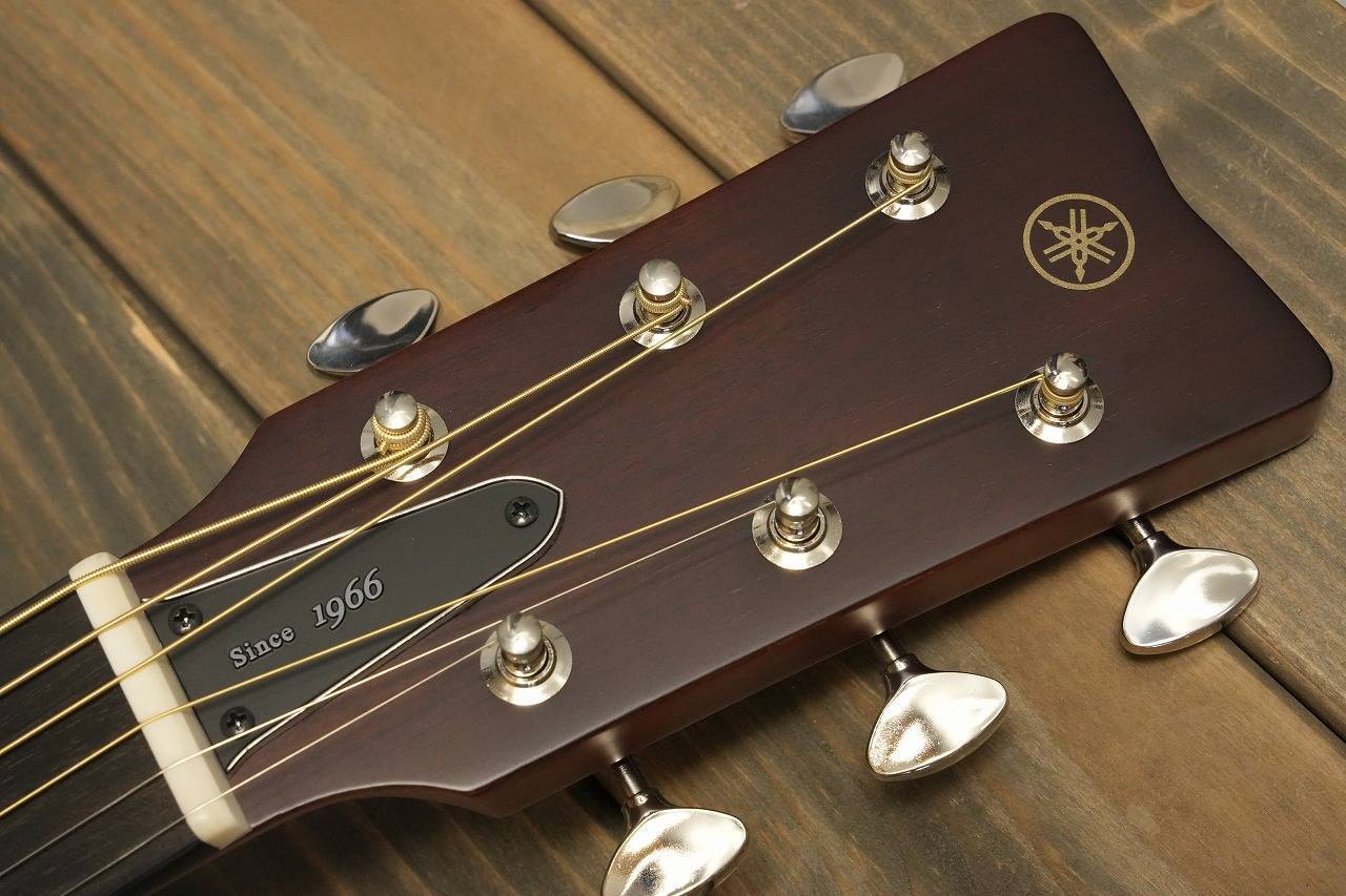 YAMAHA FGX5 GLOSS Red Label エレアコ 【国産】オール単板（新品特価