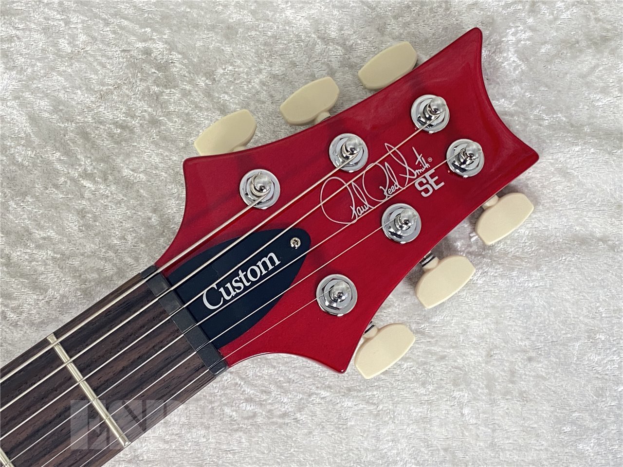 Paul Reed Smith(PRS) SE Custom 24 (Black Cherry)（新品/送料無料