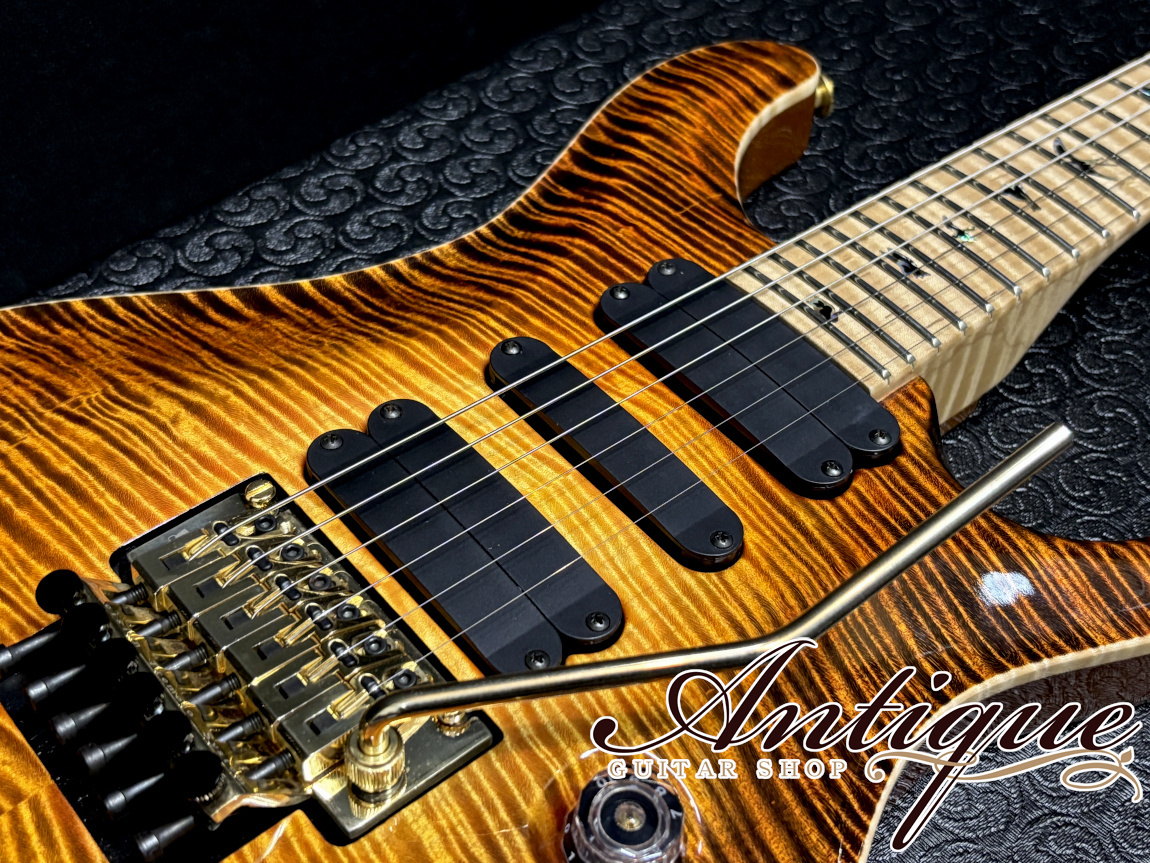 Paul Reed Smith(PRS) Private Stock #8449 509 ETG /Killer Curly