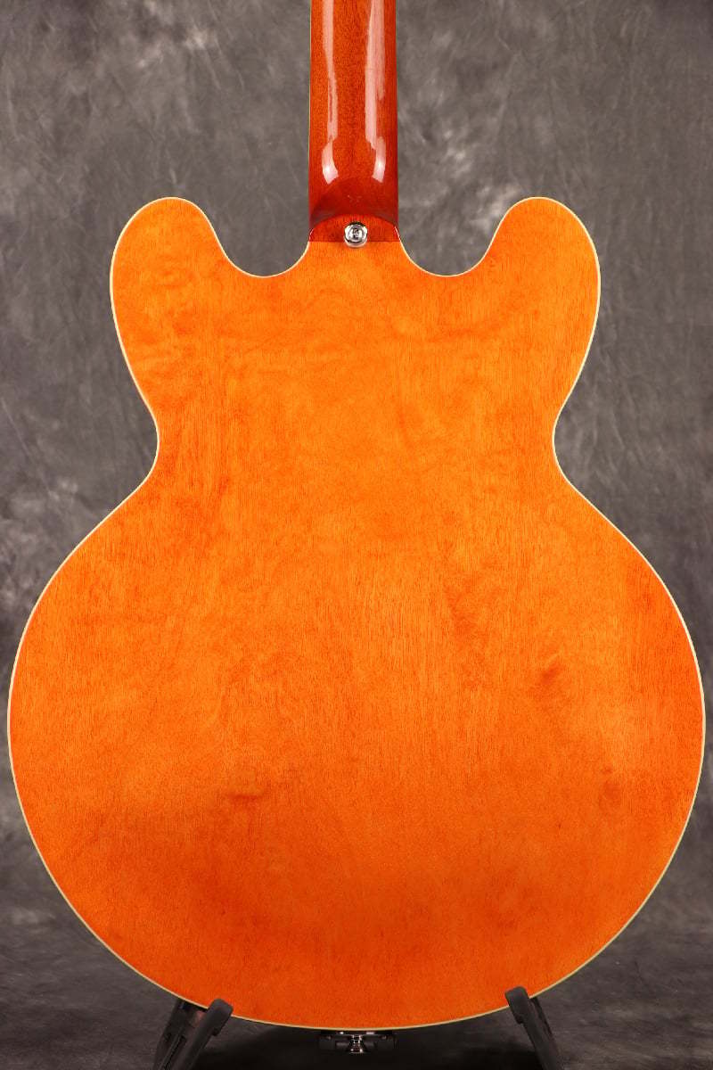 イーグル Epiphone Inspired by Gibson ES-335 Bigsby Watermelon Red