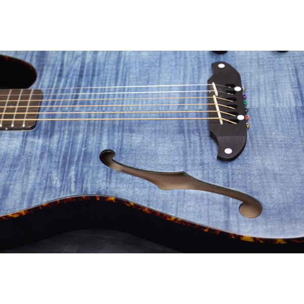 SCHECTER SCHECTER(シェクター) / OL-FL-FM-P SSTB（新品/送料