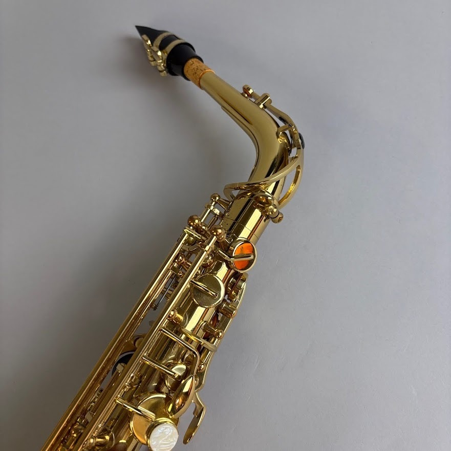 TREVOR J.JAMES Revolution（中古/送料無料）【楽器検索デジマート】