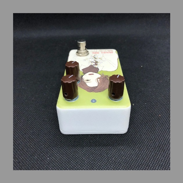 Animals Pedal Custom Illustrated 040 Sunday Afternoon Is Infinity