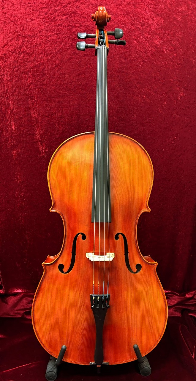 イーストマン VC100 チェロ セット 4/4 弓 ケース付き Andreas Eastman