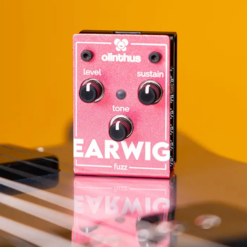 Olinthus EARWIG【ミニマムサイズ】【MUFF系ファズ】（新品）【楽器