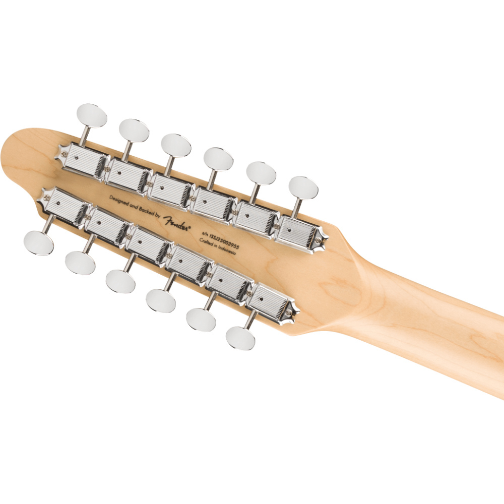 Squier by Fender スクワイア スクワイヤー Paranormal Troy Van