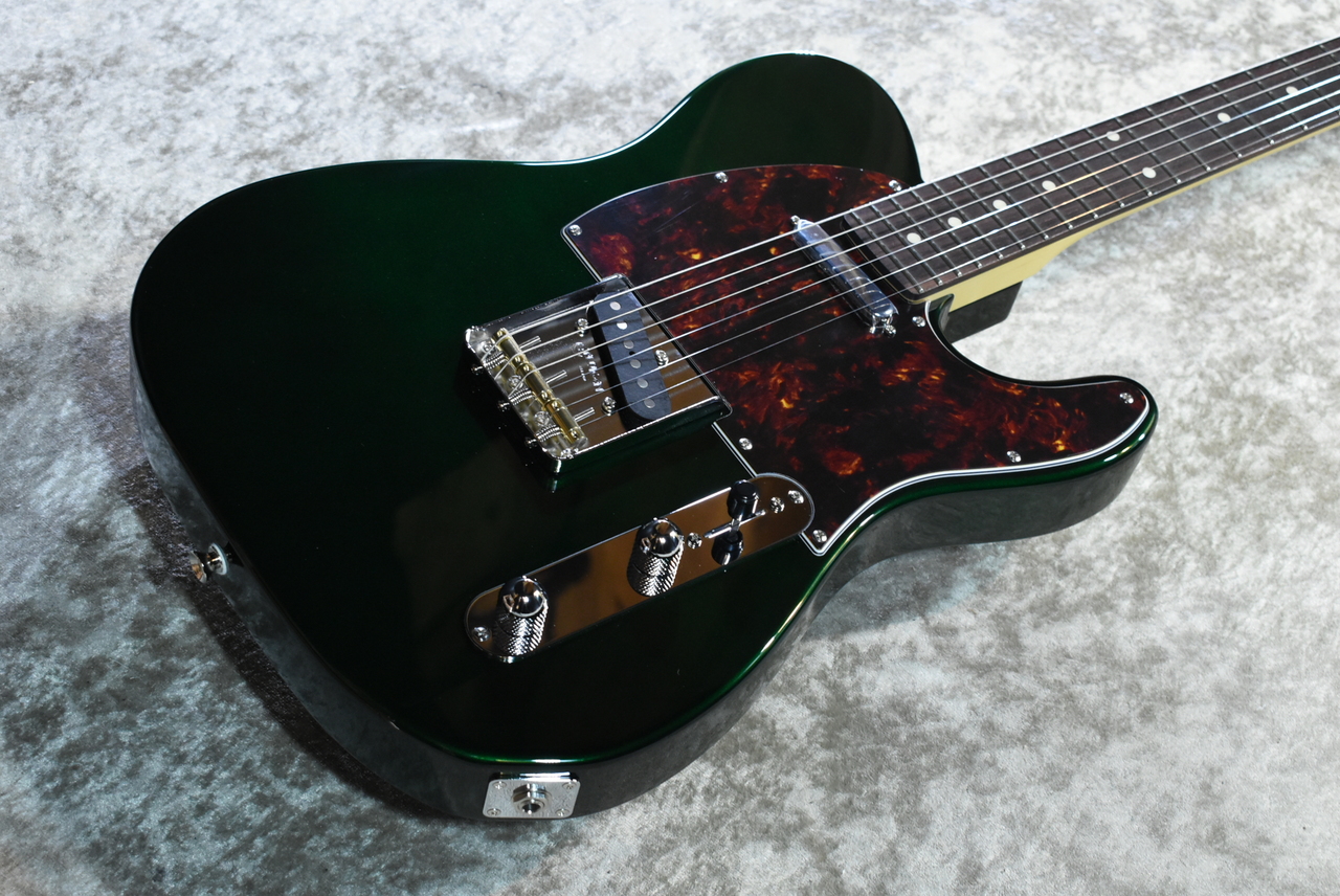 FUJIGEN(FGN) NTE100RAL Candy Apple Green #E250084【3.45kg
