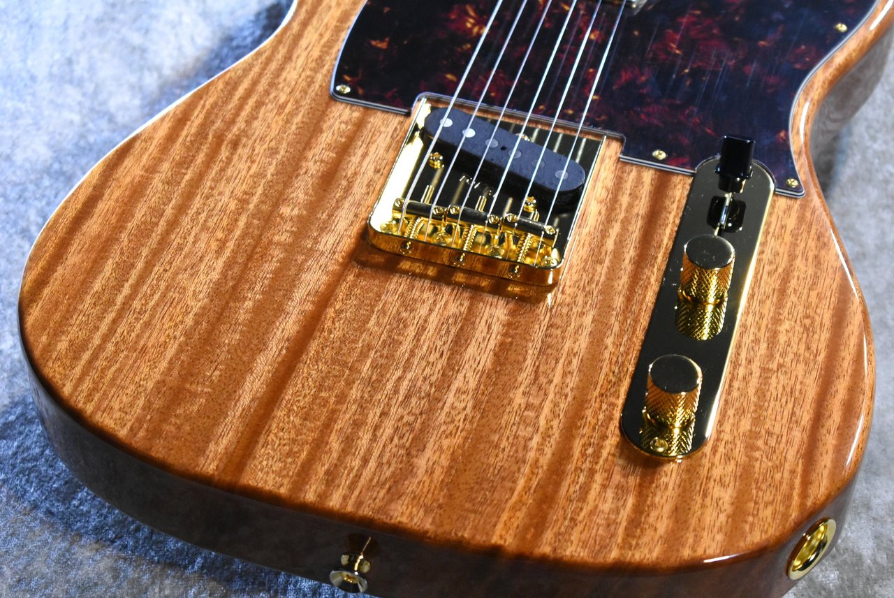 Tokai ATE-103G NR #260373【限定モデル、マホガニーネック&ボディー