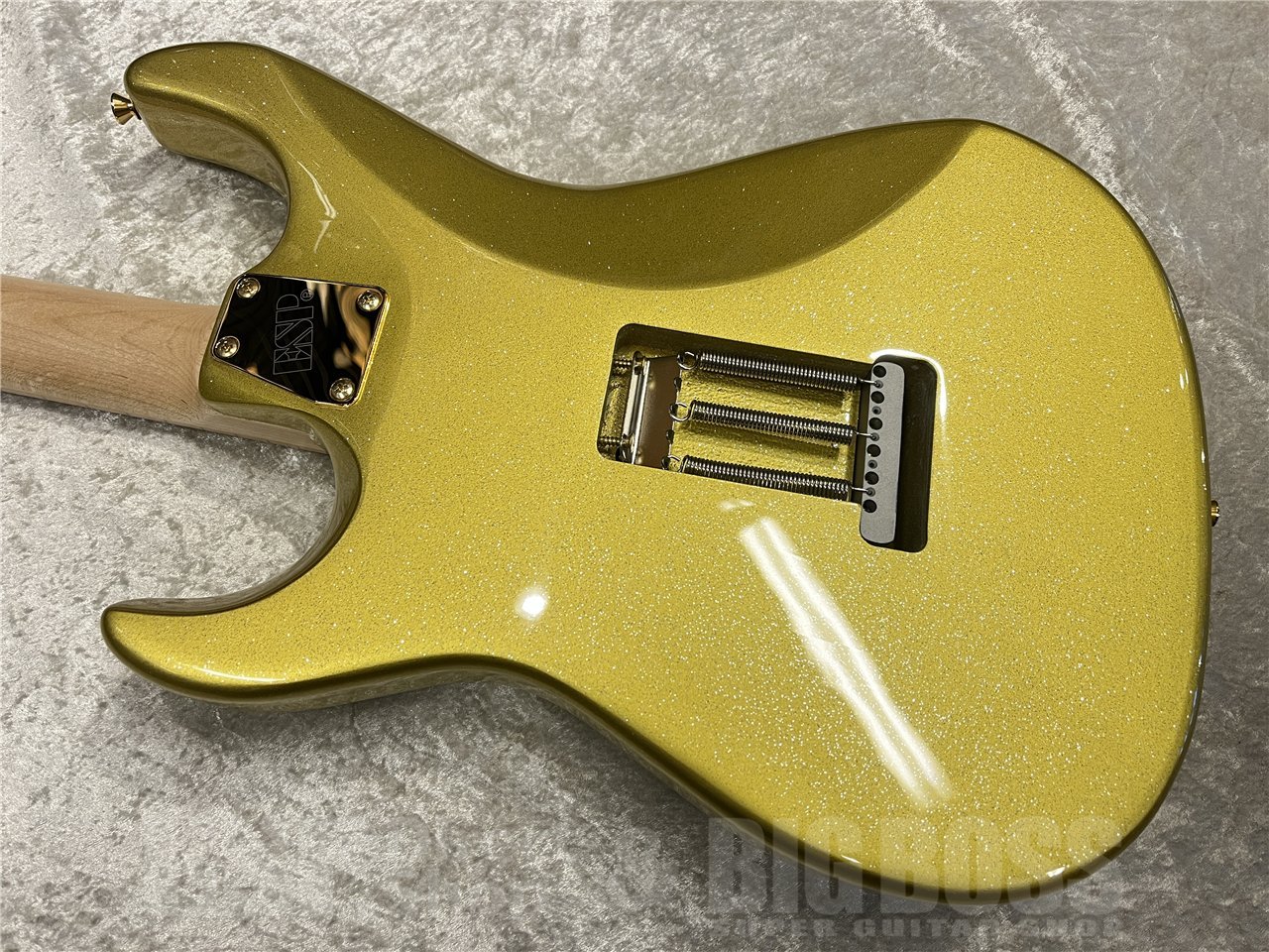 EDWARDS E-SNAPPER TO【Eclipse Gold】（新品/送料無料）【楽器検索