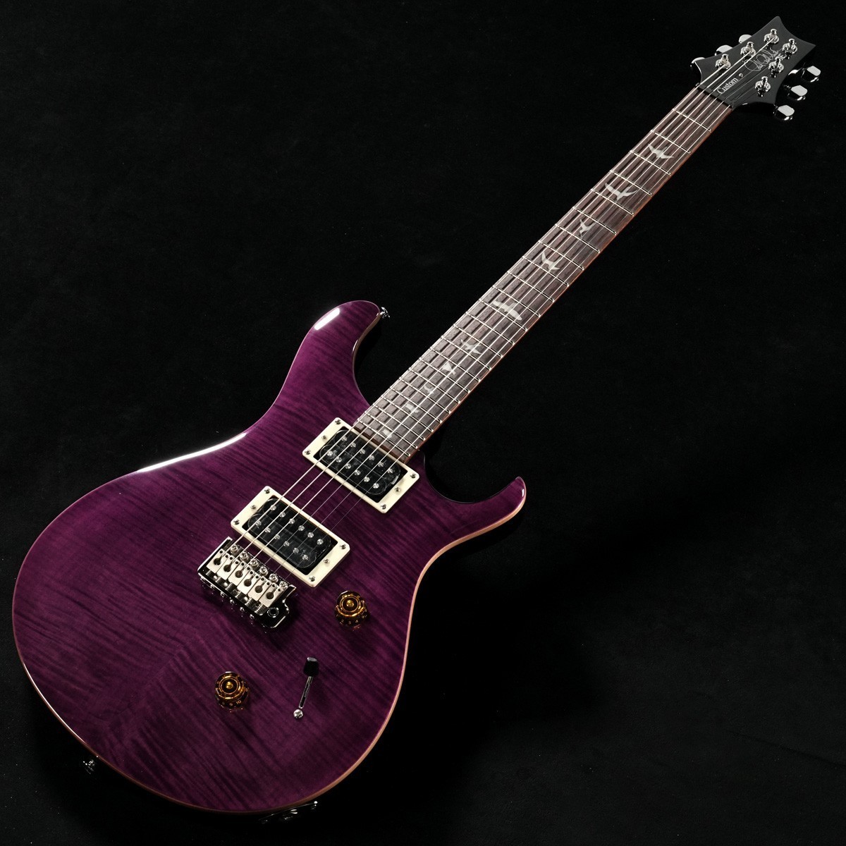 Paul Reed Smith(PRS) 2025 SE Custom 24 Amethyst(重量:3.42kg)【S/N