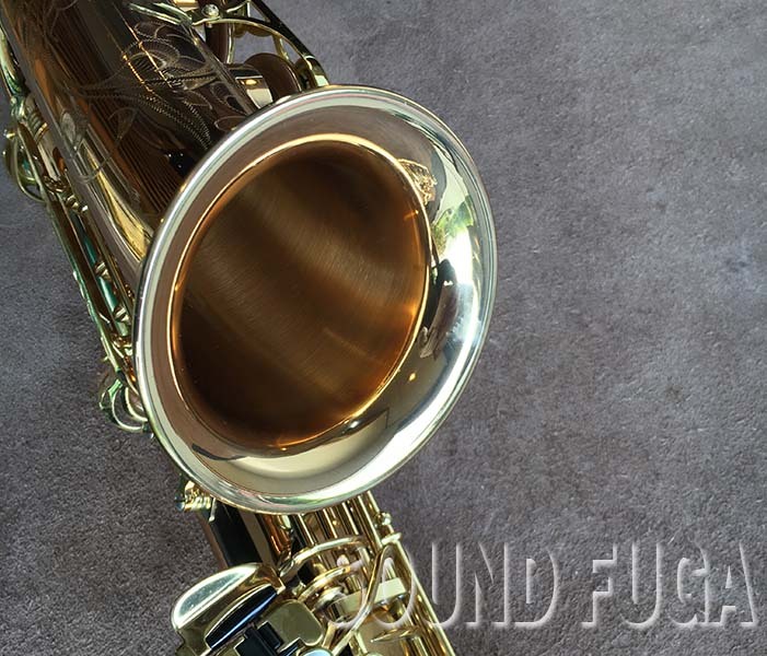 YANAGISAWA YANAGISAWA A-WO20 ブロンズ上位現行モデル アルト
