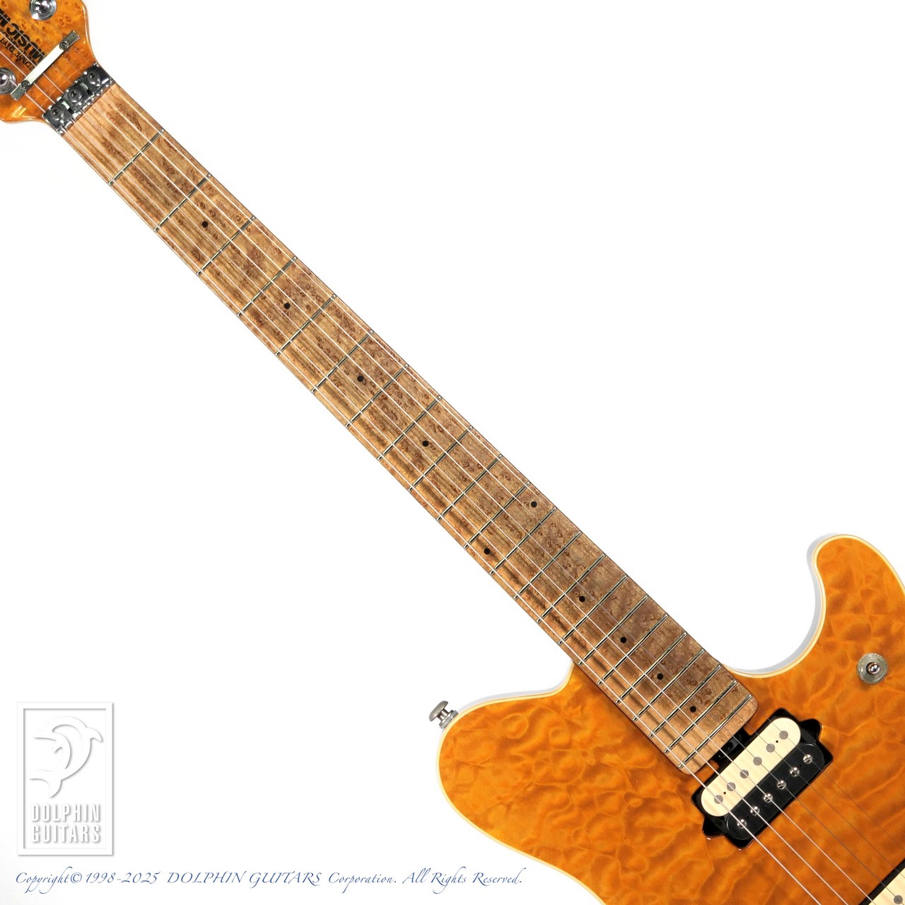 MUSIC MAN Eddie Van Halen Signature (Gold Translucent)（中古