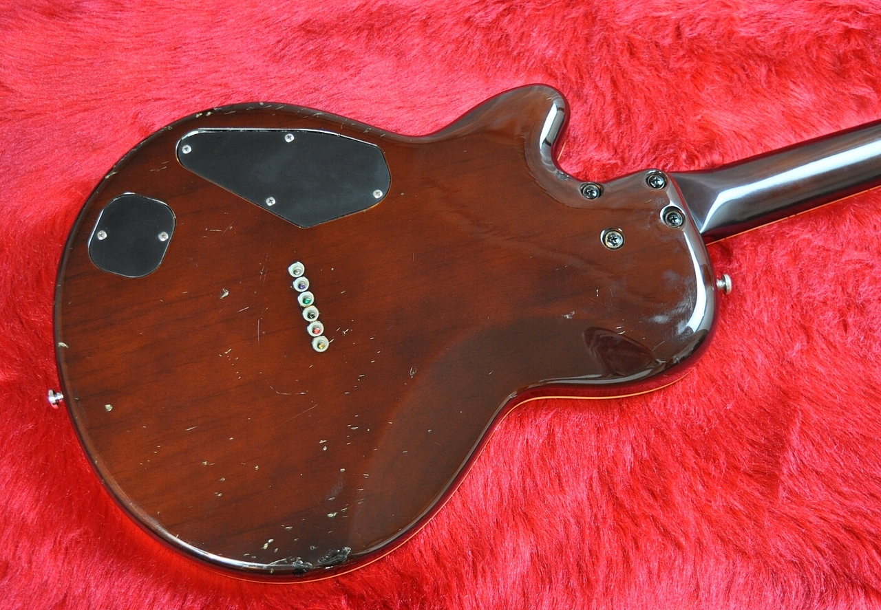 FUJIGEN(FGN) F&C Anboy AF-60P（中古）【楽器検索デジマート】