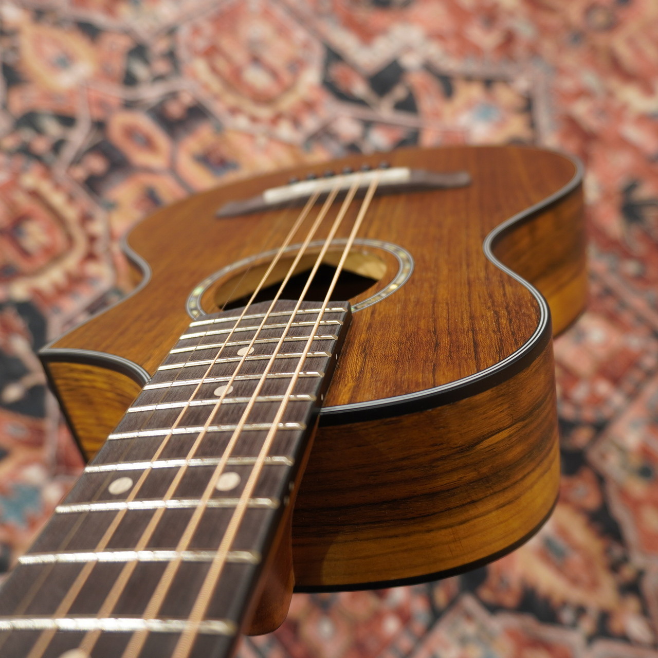 Ibanez EWP14WB-OPN (Open Pore Natural)【WINTER SELECTION特価