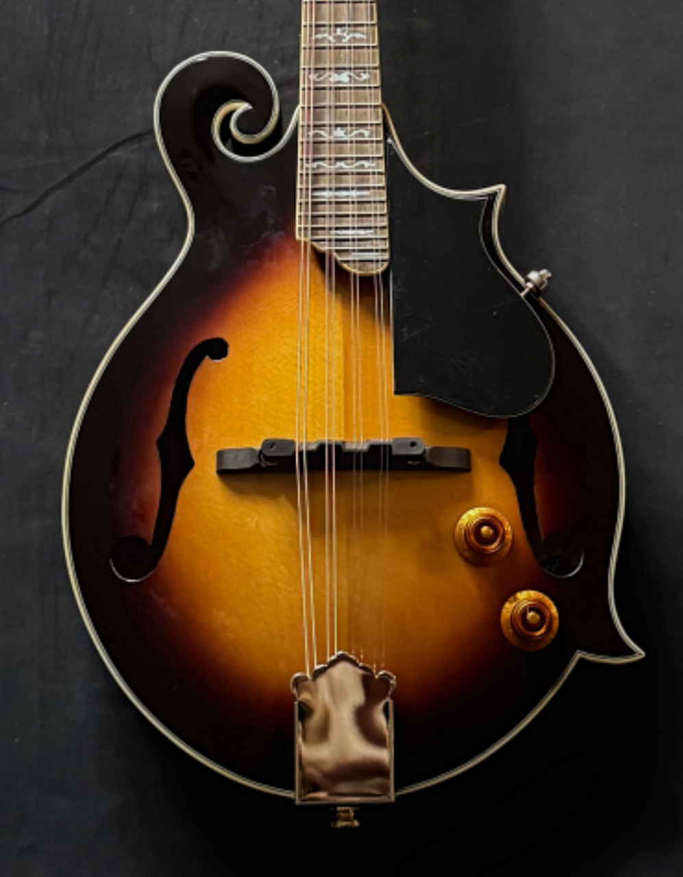 Stafford SF-FM Electric Model(中古)【楽器検索デジマート】 Stafford SF-FM Electric Model(中古)【楽器検索デジマート】