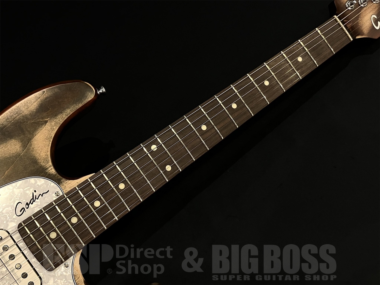 Godin SESSION T-PRO LTD RN / Kanyon Burst（新品/送料無料）【楽器