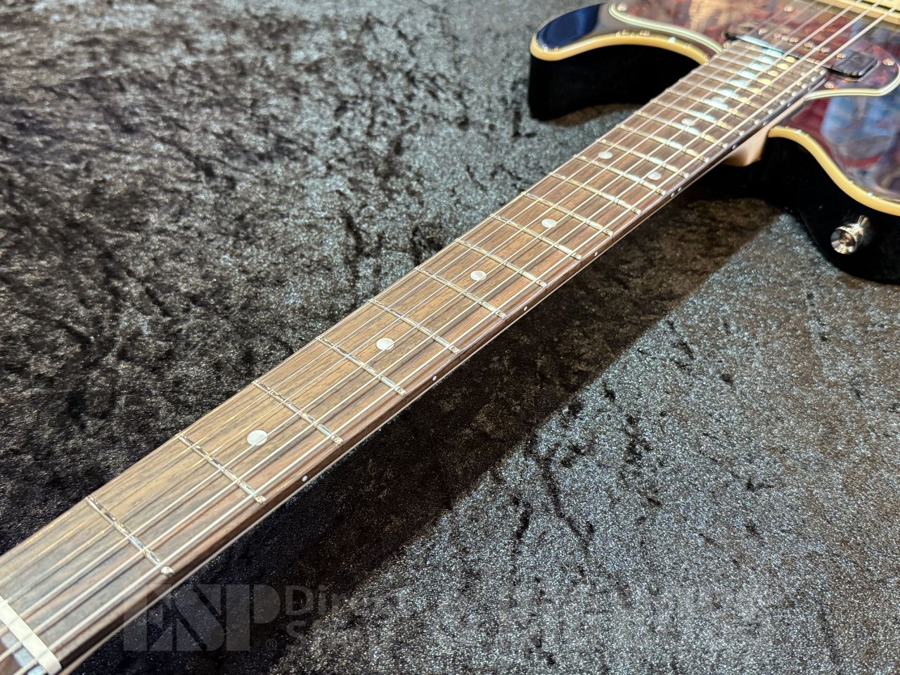 EDWARDS E-THROBBER-CTM【Black】（新品/送料無料）【楽器検索デジマート】