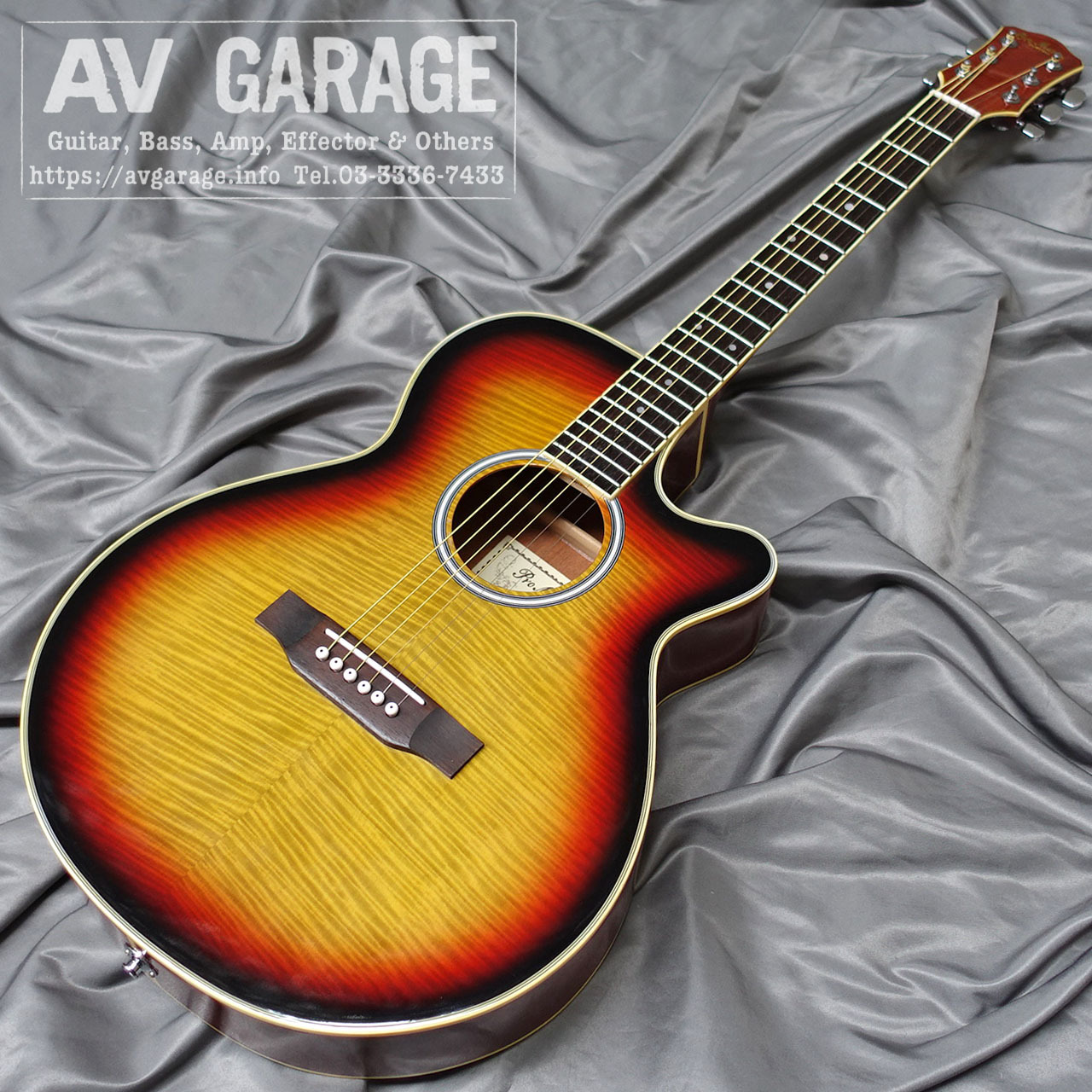 Pro Martin EA-500W Electric Acoustic Guitar（中古）【楽器検索