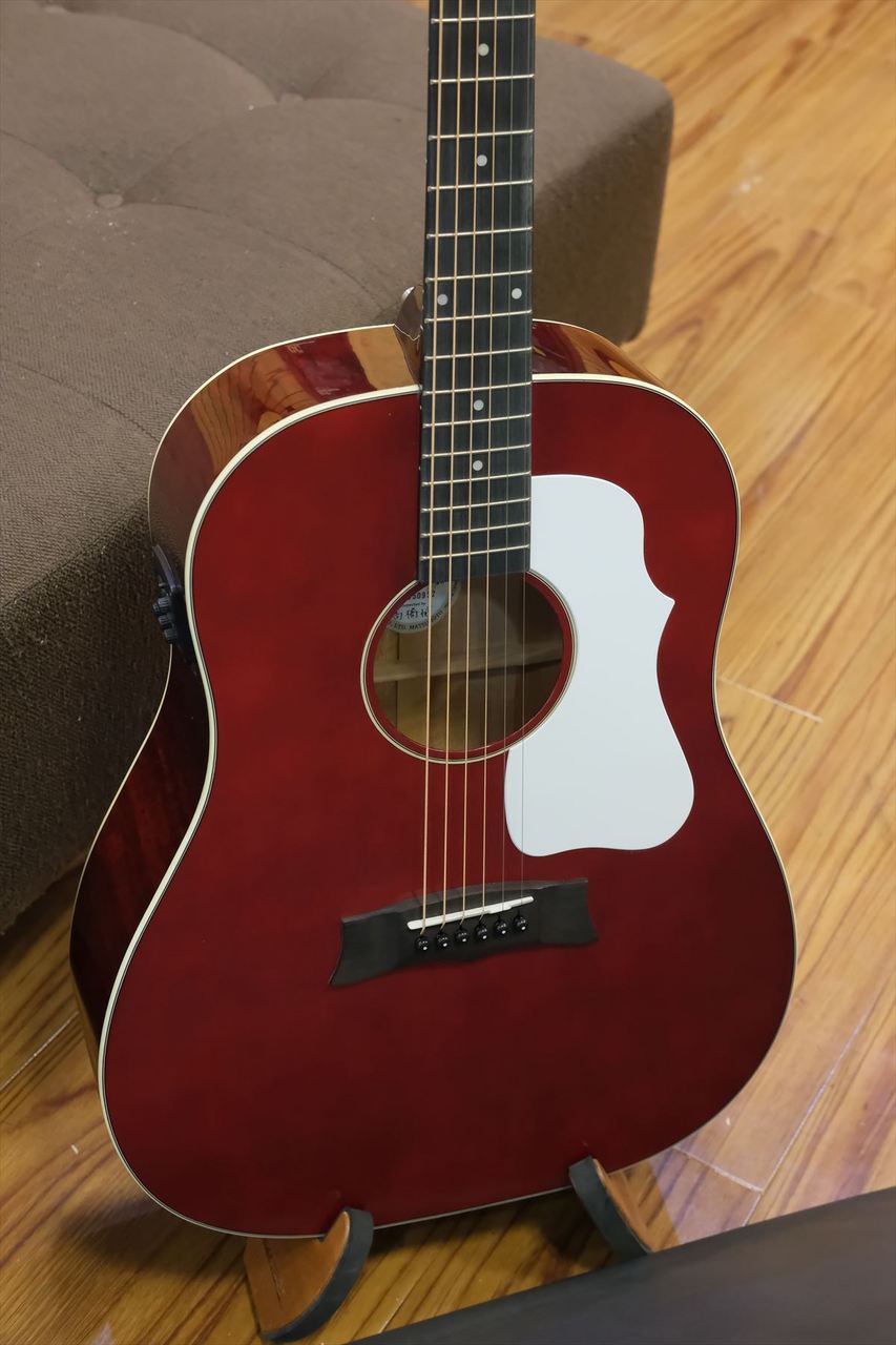 Morris G-021E / WR（新品/送料無料）【楽器検索デジマート】