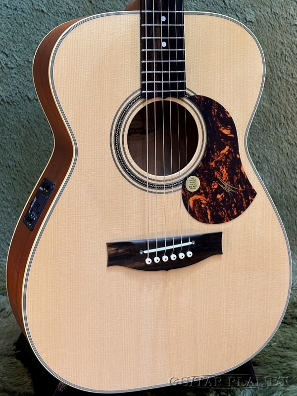 MATON 【2024年製USED】EBG808 Tommy Emmanuel 【48回迄金利0