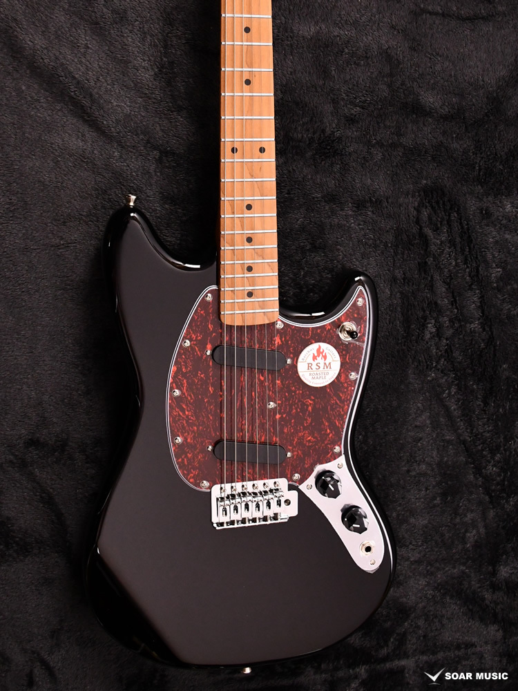 Bacchus バッカス BMS-1-RSM/M-TTPG BLK(ブラック) CAR べっ甲柄