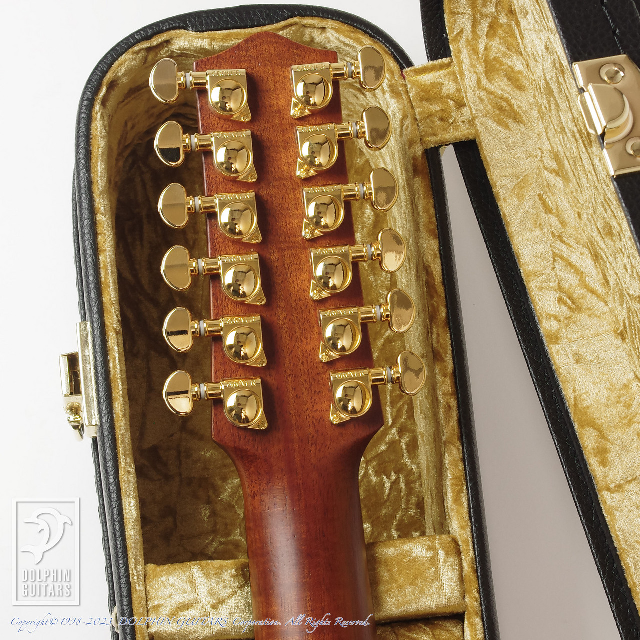 MATON EMD12 (12-Strings)（新品）【楽器検索デジマート】