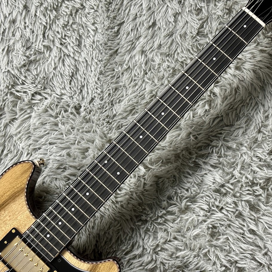 Seventy Seven ALBATROSS-JAZZ/FMY【実物画像】【2.82kg】（新品/送料