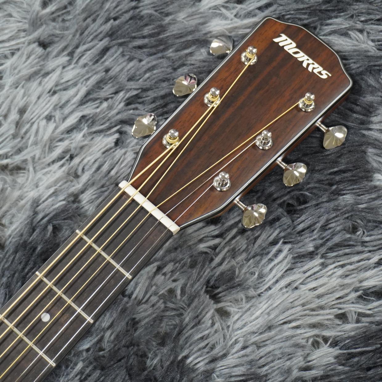 Morris F-1 NAT -Performers Edition-（新品/送料無料）【楽器検索